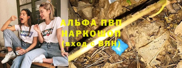 a pvp Верея