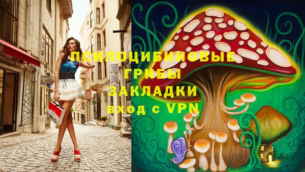 ГАЛЛЮЦИНОГЕННЫЕ ГРИБЫ Верхний Тагил
