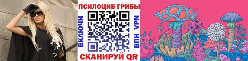 Галлюциногенные грибы Psilocybe  Купить  Малоярославец 